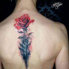 Tattoo Rose cover tattoo on the back motif: colorful style: realistic