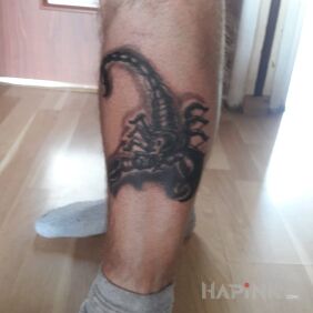 Tattoo Scorpio on the calf motif: animals