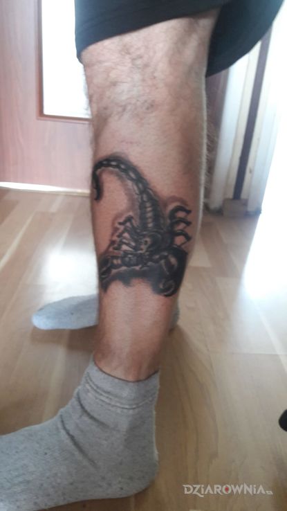 Tatuaż skorpion w motywie zwierzęta na łydce
