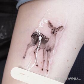 Tatuaż Microrealism na ręce motyw: czarno-szare styl: realistyczne