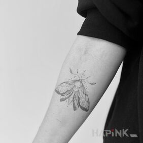 Tattoo Moth on the forearm motif: insects style: graphic / illustrative