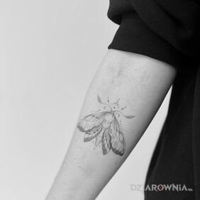 Tatuaż Ćma na ręce motyw: owady styl: graficzne / ilustracyjne