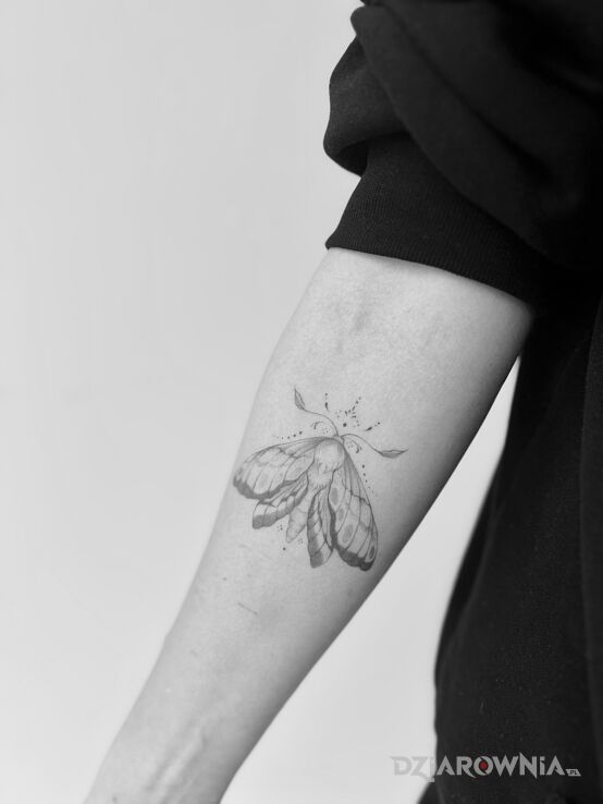 Tatuaż ćma w motywie czarno-szare na przedramieniu