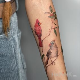 Tattoo Cardinals in color On the arm motif: colorful style: realistic