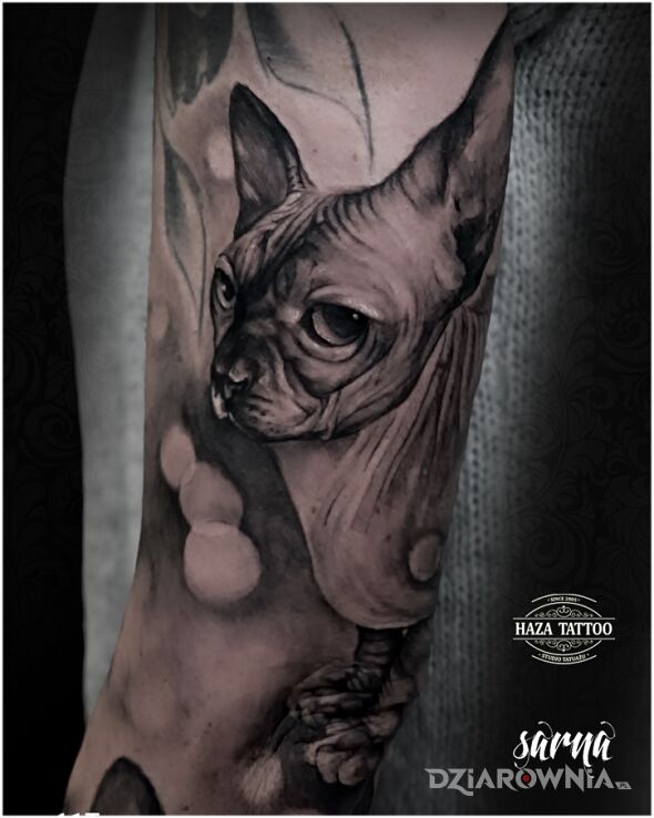 Tatuaż kot tatuaż w motywie zwierzęta i stylu realistyczne na ramieniu