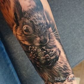 Tatuaż Wiewióra na ręce motyw: zwierzęta styl: realistyczne
