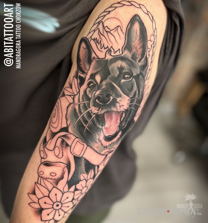 Tatuaż pierwsza sesja portretu psiaka w motywie kolorowe i stylu neotradycyjne na ramieniu