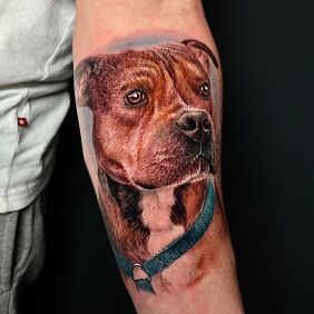 Tattoo Brown pitbull dog on the forearm motif: 3D style: realistic