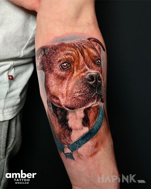 Tattoo Brązowy pies pitbull in colorful motif and realistic style on the forearm