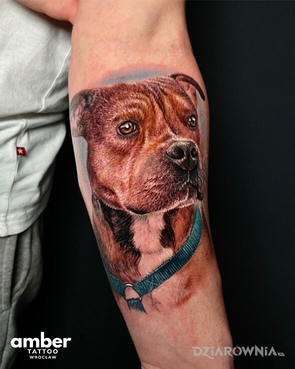 Tatuaż studio tatuażu amber tattoo w motywie zwierzęta i stylu realistyczne na przedramieniu