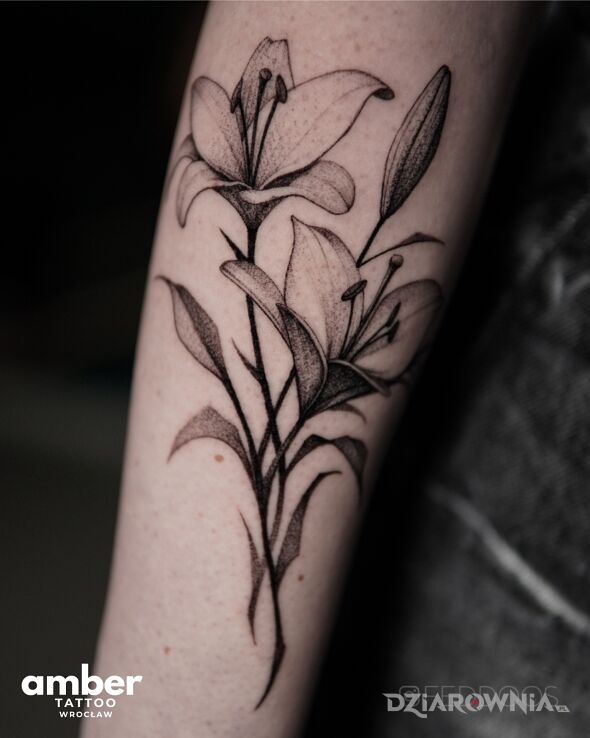 Tatuaż studio tatuażu amber tattoo w motywie małe i stylu graficzne / ilustracyjne na ręce