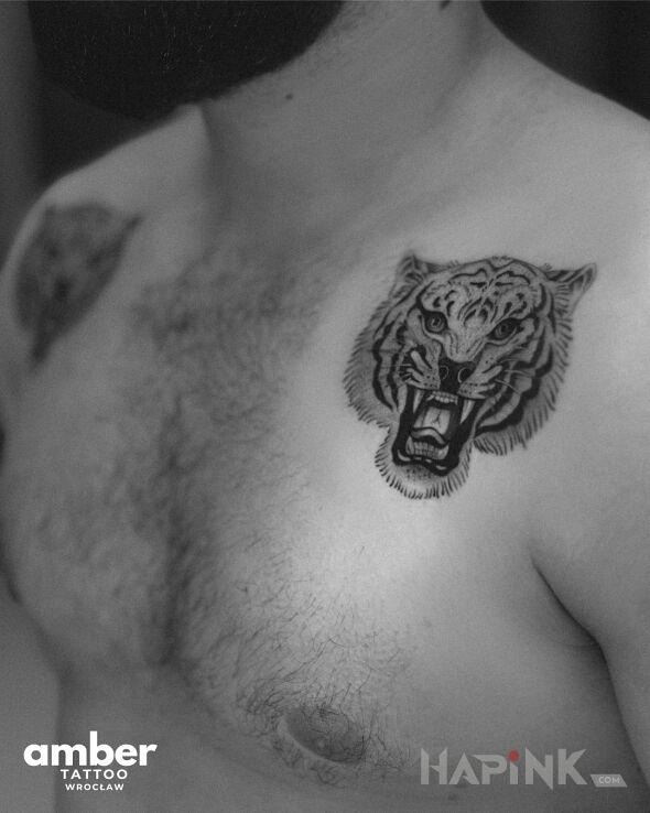 Tattoo Klatowy tygrys in animals motif and graphic / illustrative style on the chest