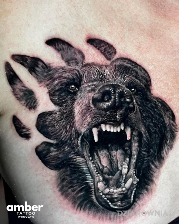 Tatuaż gruby niedźwiedź w motywie czarno-szare i stylu graficzne / ilustracyjne na klatce