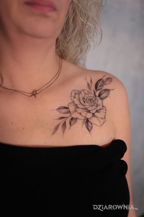 Tatuaż kwiat róży w motywie czarno-szare i stylu dotwork na obojczyku