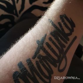 Tatuaż Napis na przedramieniu motyw: napisy