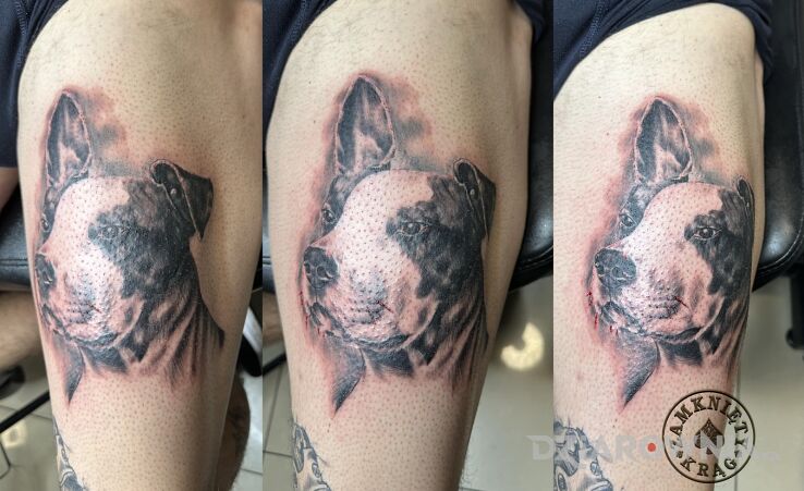 Tatuaż pies w motywie czarno-szare i stylu realistyczne na udzie