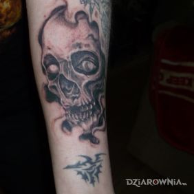 Tatuaż Czaszka na przedramieniu motyw: czaszki