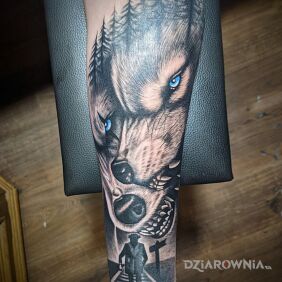 Tatuaż Dwa wilki na przedramieniu motyw: czarno-szare styl: realistyczne
