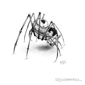 Wolny wzór.