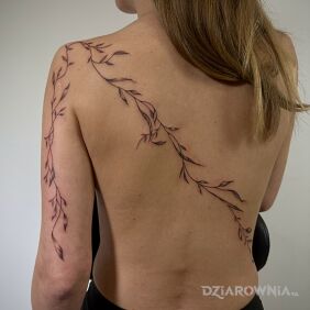 Tatuaż Kwiaty i galązki na plecach na ramieniu motyw: florystyczne styl: kontury / linework