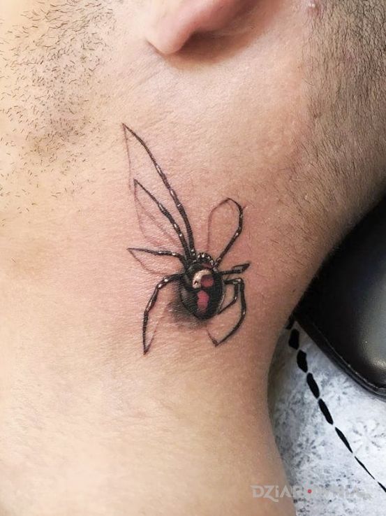 Tatuaż pająk w motywie 3D i stylu realistyczne na szyi