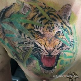 Tatuaż Tygrys tiger na klatce motyw: zwierzęta styl: realistyczne