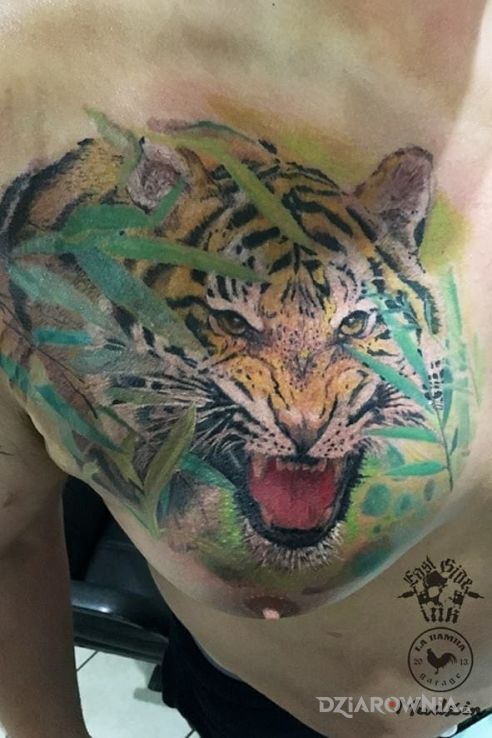 Tatuaż tygrys tiger w motywie zwierzęta i stylu realistyczne na klatce