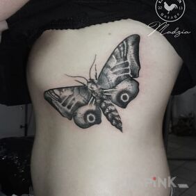 Tattoo Moth on the ribs motif: butterflies