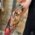 kocur