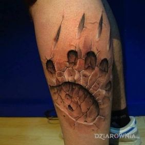 Tatuaż Lapa na łydce motyw: 3D styl: realistyczne