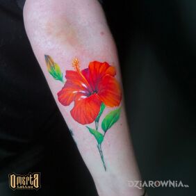 Tatuaż Czerwony kwiat na przedramieniu motyw: kolorowe styl: realistyczne
