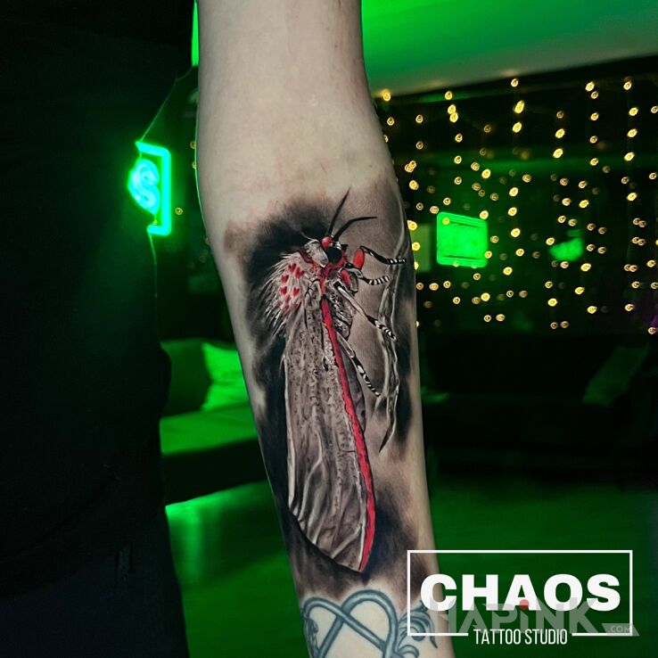 Tattoo Ćma realizm in black and gray motif and realistic style On the arm