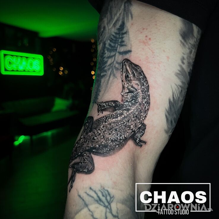 Tatuaż jaszczurka hiperrealizm w motywie czarno-szare i stylu realistyczne na ramieniu