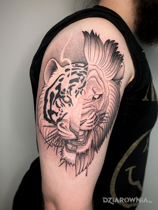 Tatuaż lew  tygrys w motywie zwierzęta i stylu dotwork na barku