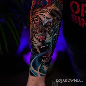 Tatuaż Tygrys na przedramieniu motyw: kolorowe styl: realistyczne