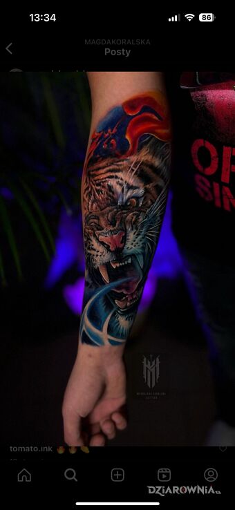 Tatuaż tygrys w motywie zwierzęta i stylu realistyczne na przedramieniu