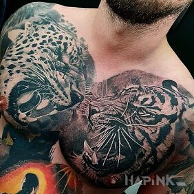 Tattoo Wild Cats on the chest motif: black and gray style: realistic