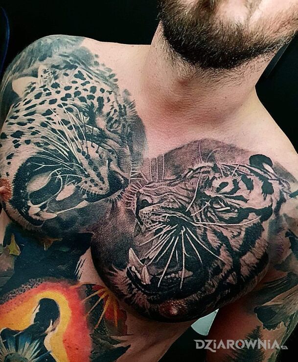 Tatuaż kocury dzikie w motywie zwierzęta i stylu realistyczne na klatce