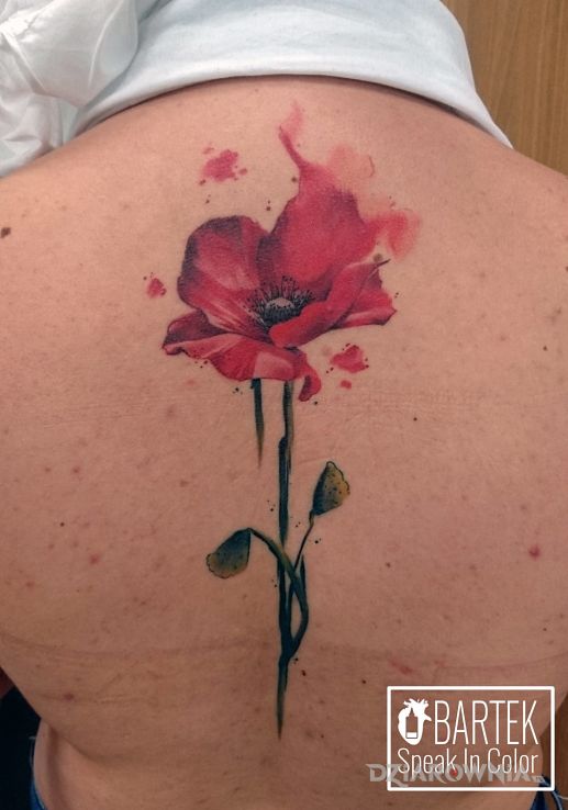 Tatuaż kwiat w motywie kwiaty i stylu watercolor na plecach