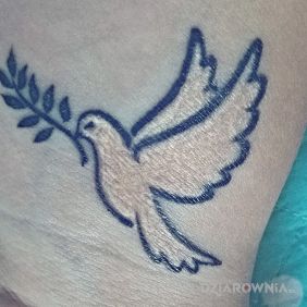 Tatuaż Gołąbek na nadgarstku motyw: zwierzęta