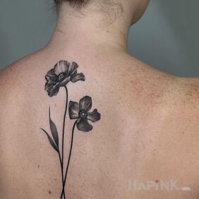 Tattoo Poppies on the back motif: flowers style: realistic