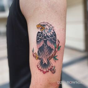 Tatuaż American eagle na ręce motyw: kolorowe styl: oldschool