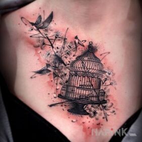 Tattoo A bird in a cage on the chest motif: animals