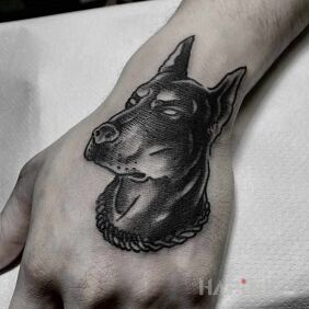 Tattoo Doberman On the arm motif: black and gray style: oldschool