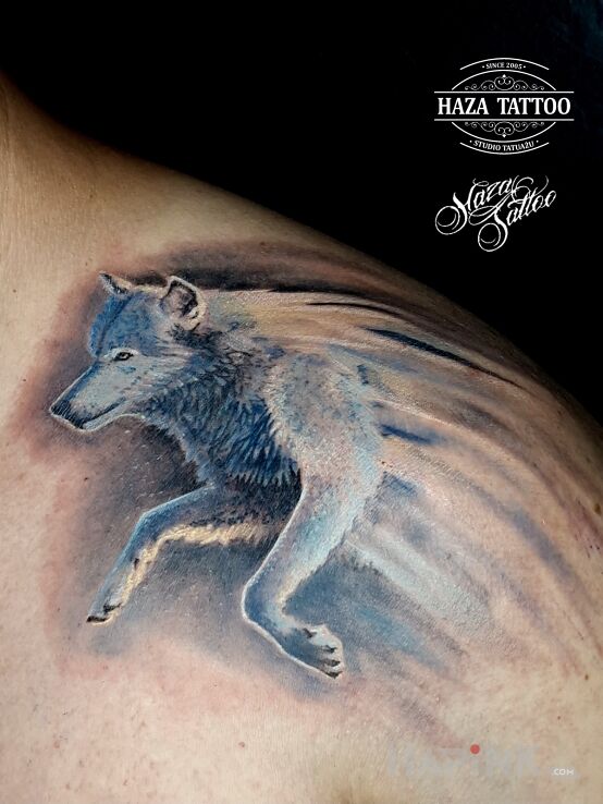 Tattoo Wolf tattoo in colorful motif and realistic style on the shoulder
