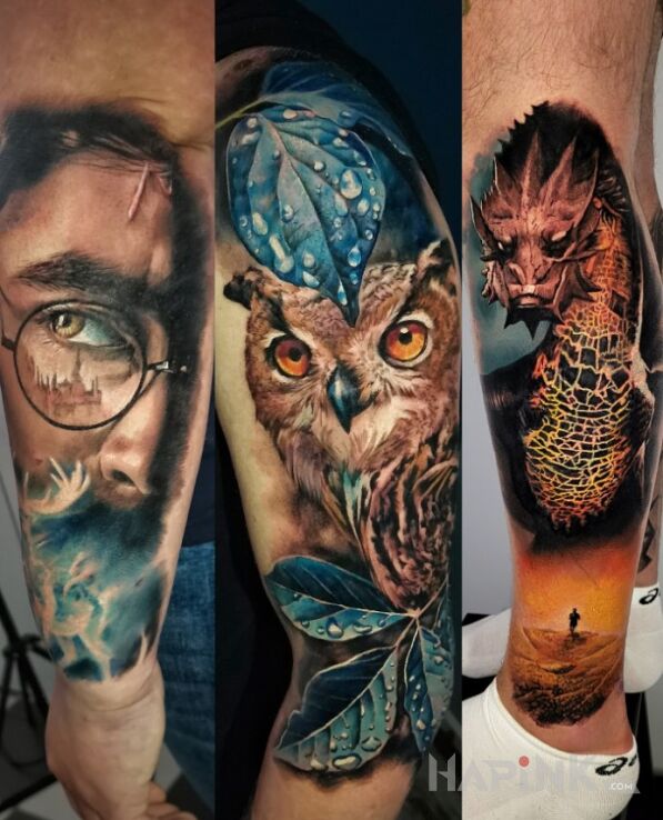 Tattoo Harry. Sowa. Smaug. Kolor. in dragons motif and realistic style on the forearm