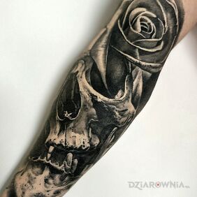 Tatuaż Czaszka. Róża. Cover Up. na przedramieniu motyw: czaszki styl: realistyczne