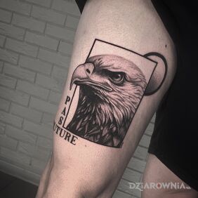 Tatuaż Graficzny orzeł. na nodze motyw: zwierzęta styl: dotwork