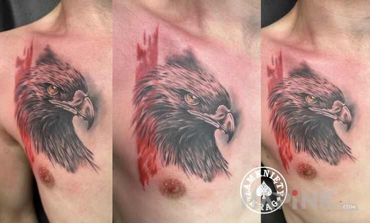 Tattoo Orzeł in colorful motif and realistic style on the chest