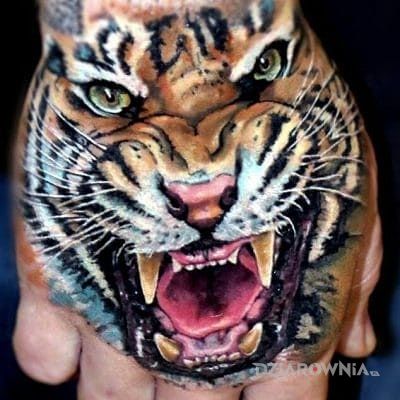 Tatuaż tygrys w motywie zwierzęta i stylu realistyczne na dłoni